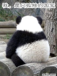 孤独的国宝